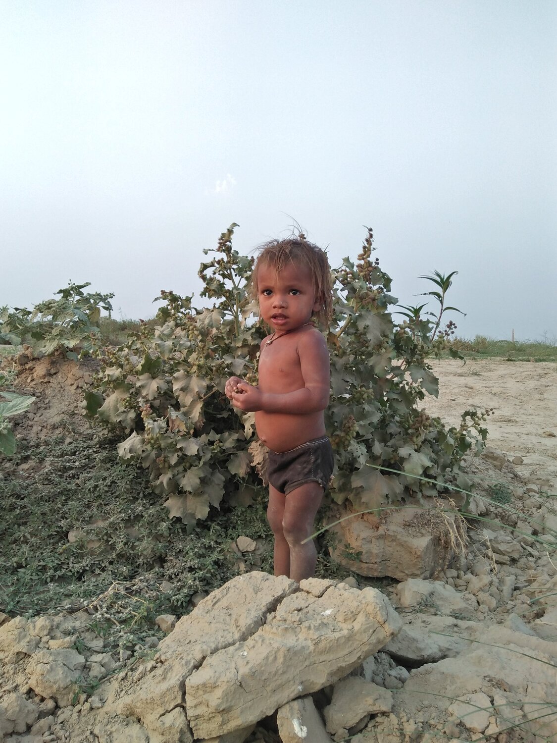 Photo #4782116