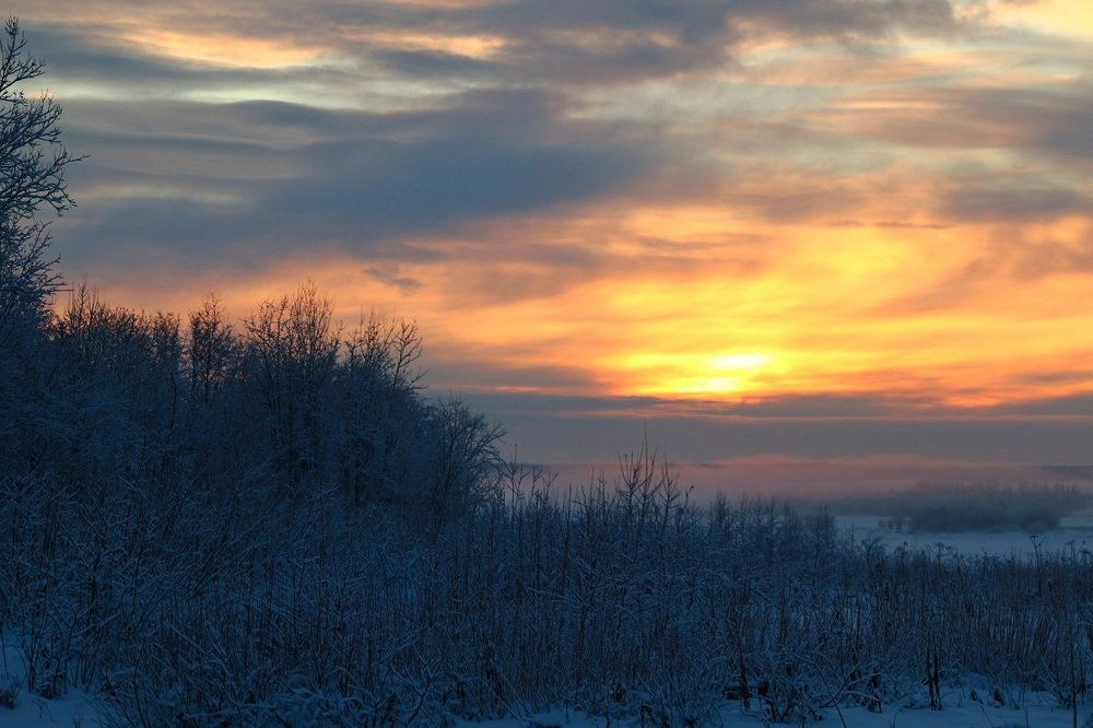 Photograph by Александр Трифанов