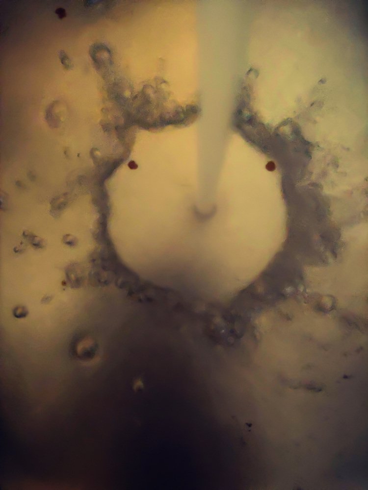 Photograph by Gabriella Sicurello