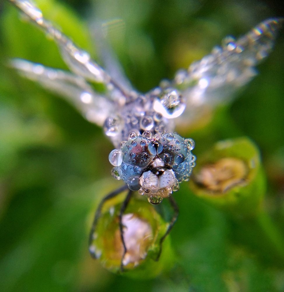 Photograph by Abhinandan Manna