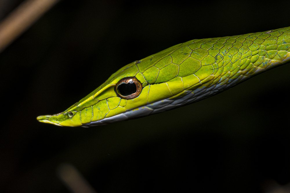 Photograph by Sameer Bhalekar