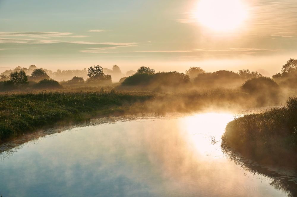 Утренний туман