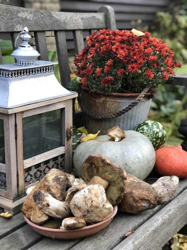 Photograph by Наталья Пирогова