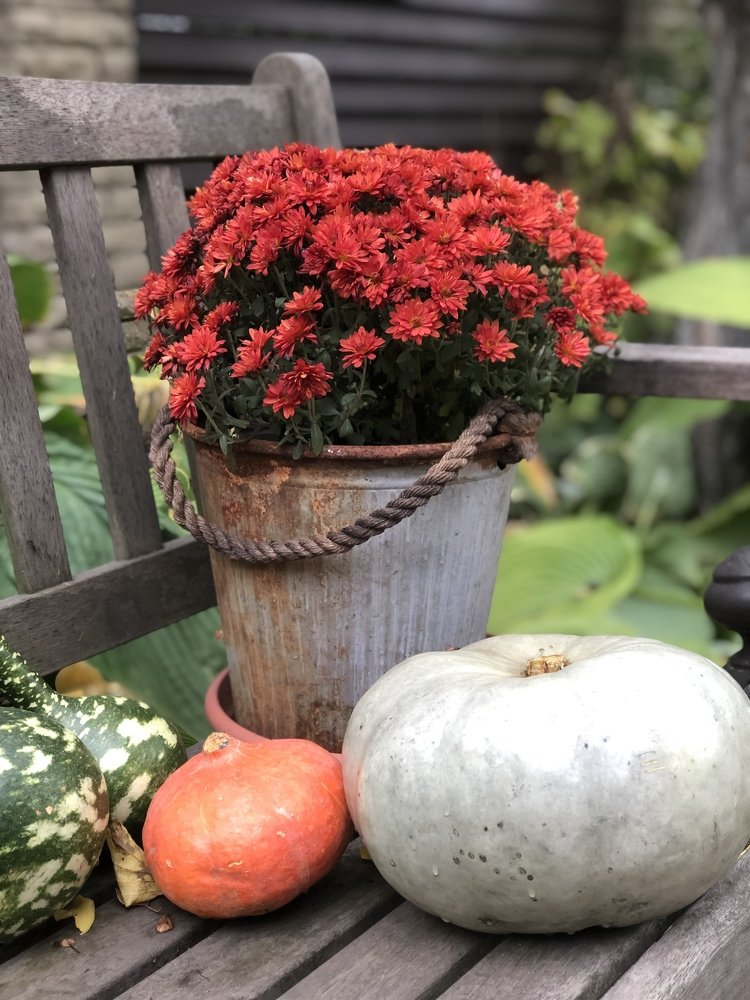 Что-то осеннее