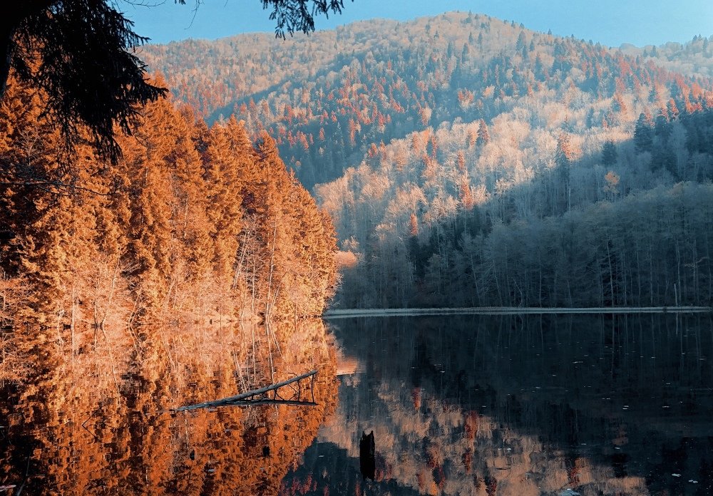 Photograph by Lika Arobelidze