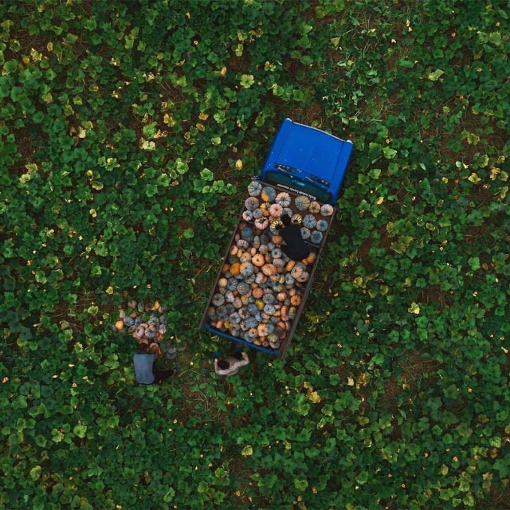 Фотография автора Mansoor Heydaryan