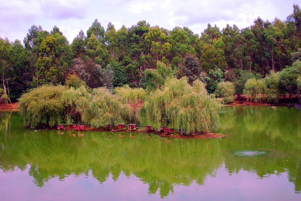 Photograph by рамаз хонелидзе