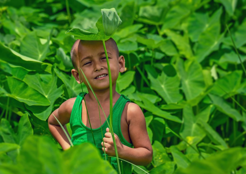 Innocence Childhood .