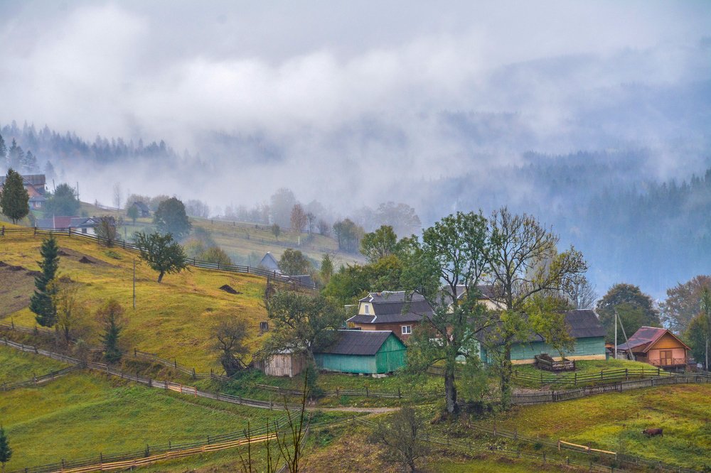 Photograph by Владимир Гузик