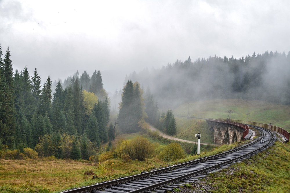 Photograph by Владимир Гузик