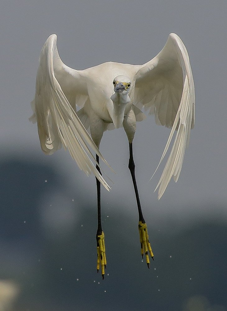 Photograph by Jagadeesh Golla