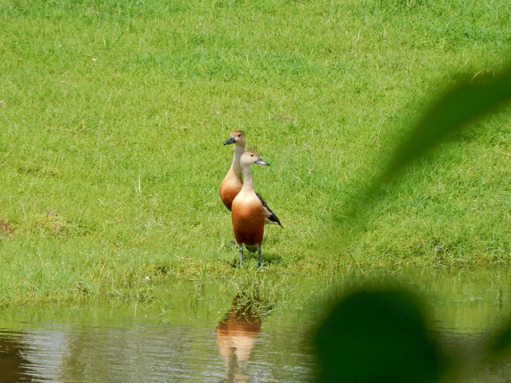 Photograph by Manav Das