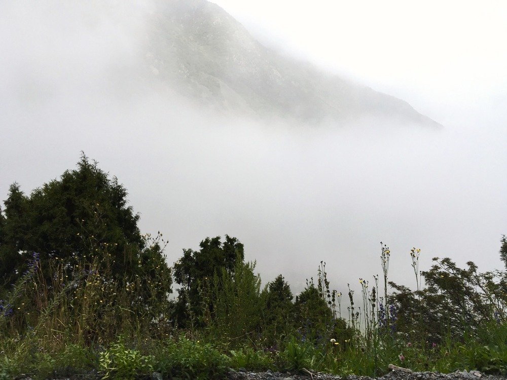 Photograph by Елена Ким