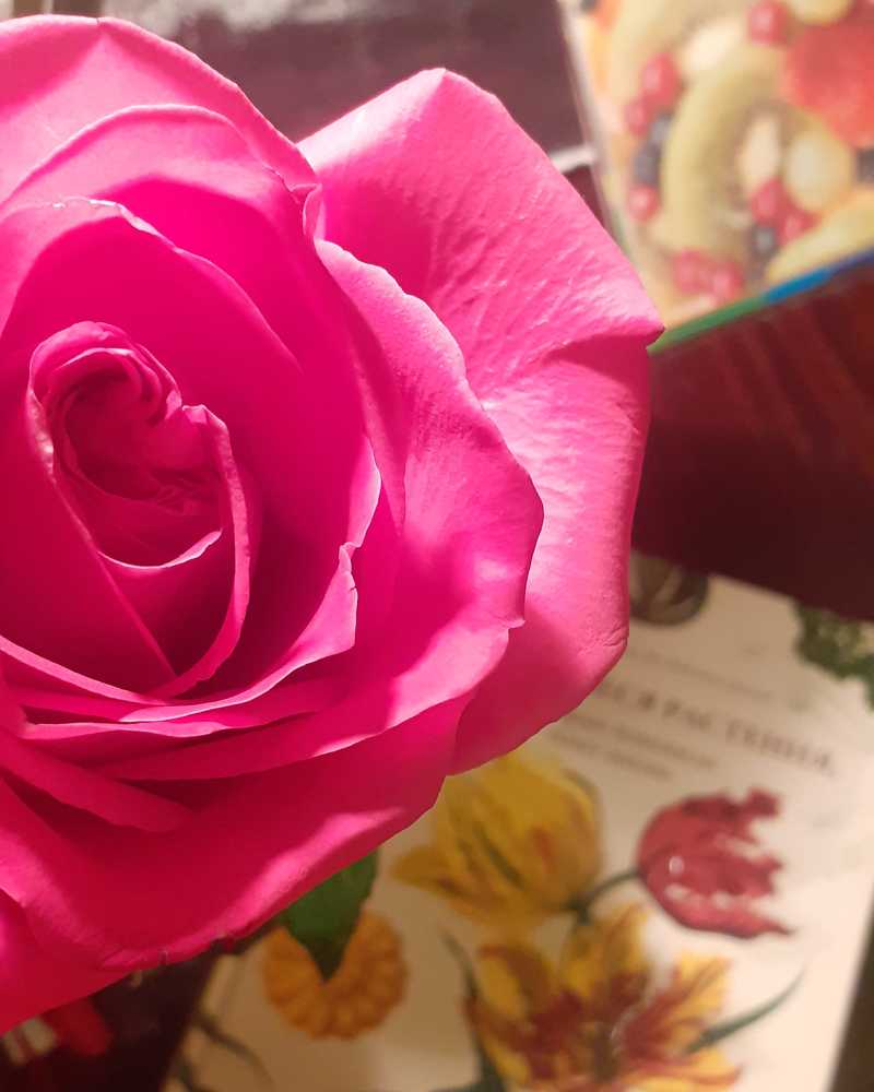 Photograph by Любовь Макарова