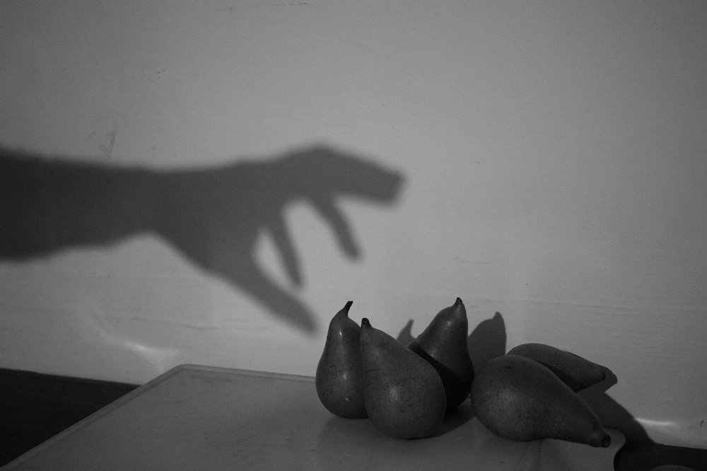 Photograph by Fereydoon ranjkesh