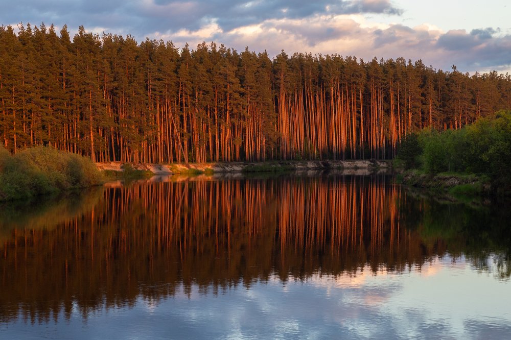 Photograph by Дмитрий Чудинин