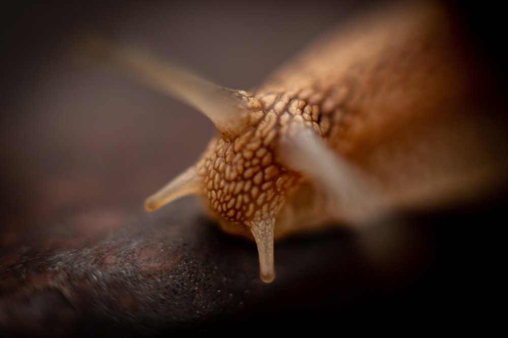 Photograph by Евгений Дрогоруб