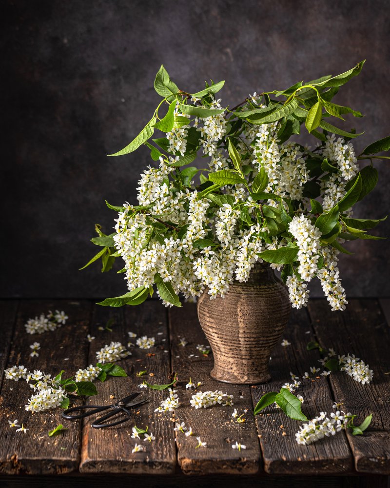 Photograph by Владислава Соколова