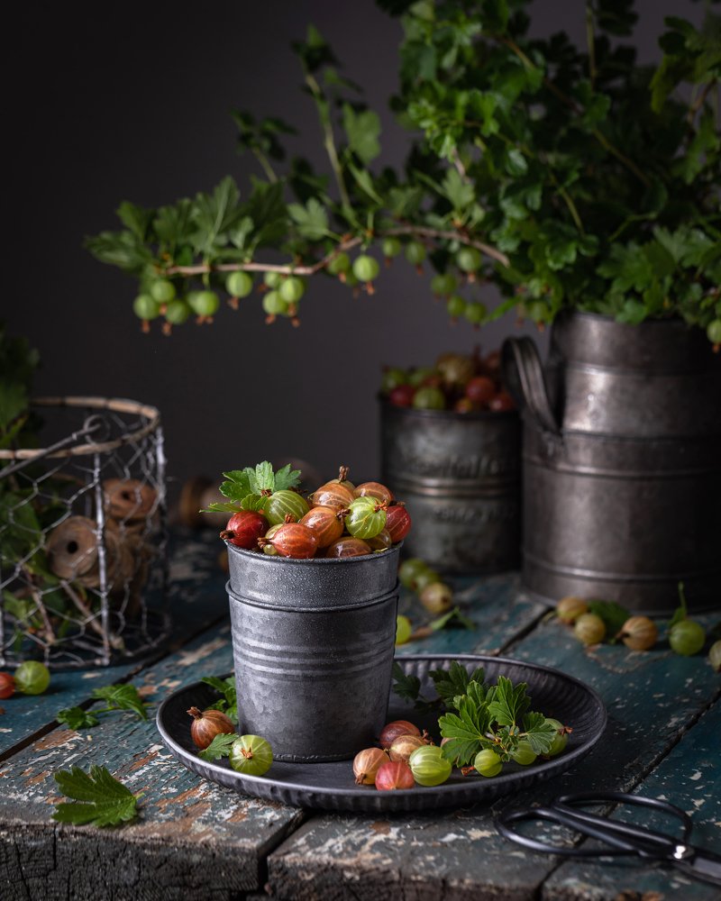 Photograph by Владислава Соколова