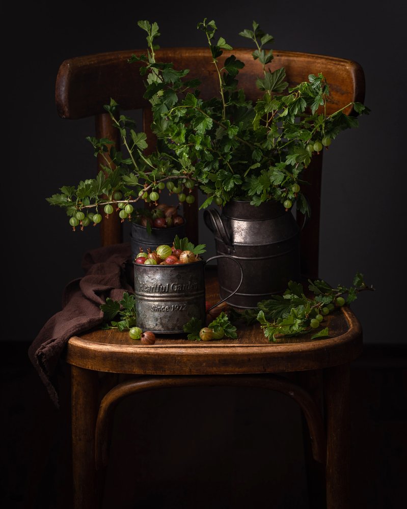 Натюрморт с крыжовником.