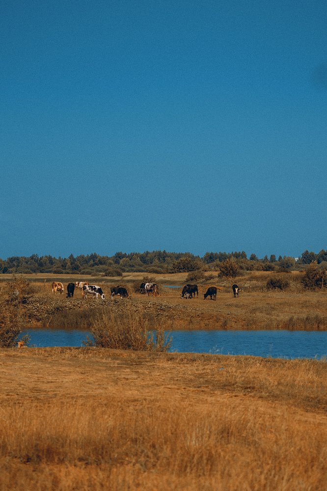 Photograph by Валерия Трушина