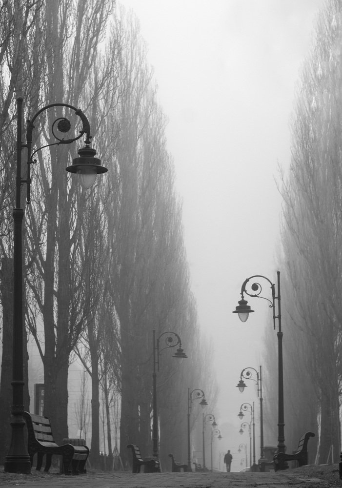 Photograph by Маргарита Клак