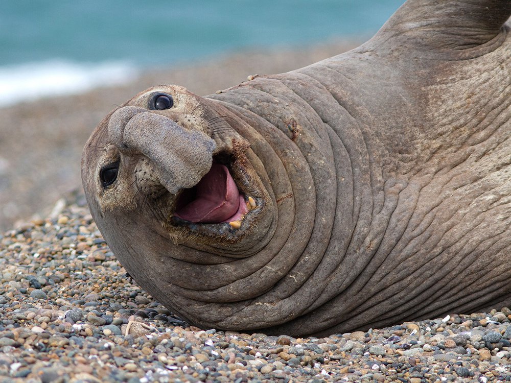 Photograph by Esteban Argerich