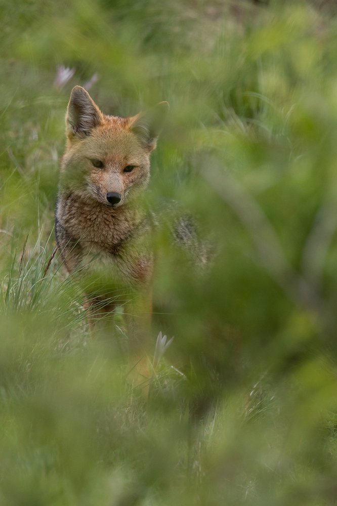 Photograph by Esteban Argerich