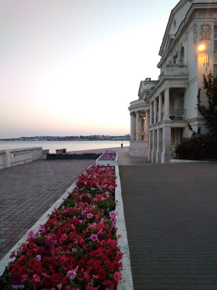 Photograph by Elena Ziablova