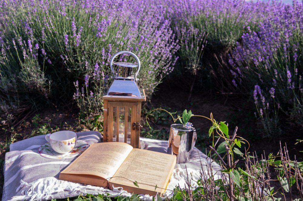 Photograph by Наталья Пирогова