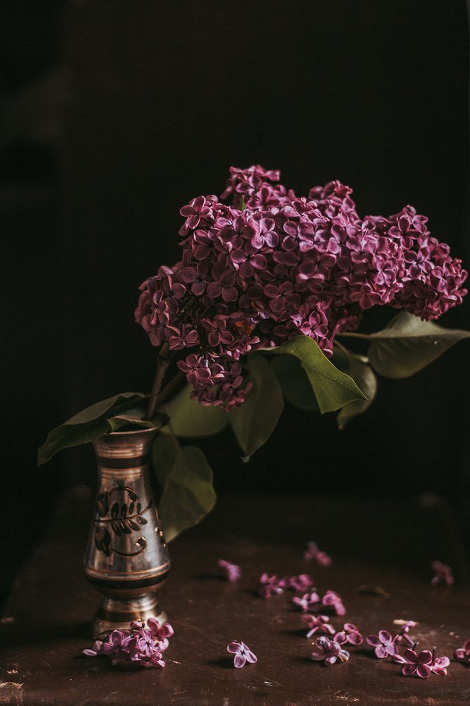 Photograph by Алена