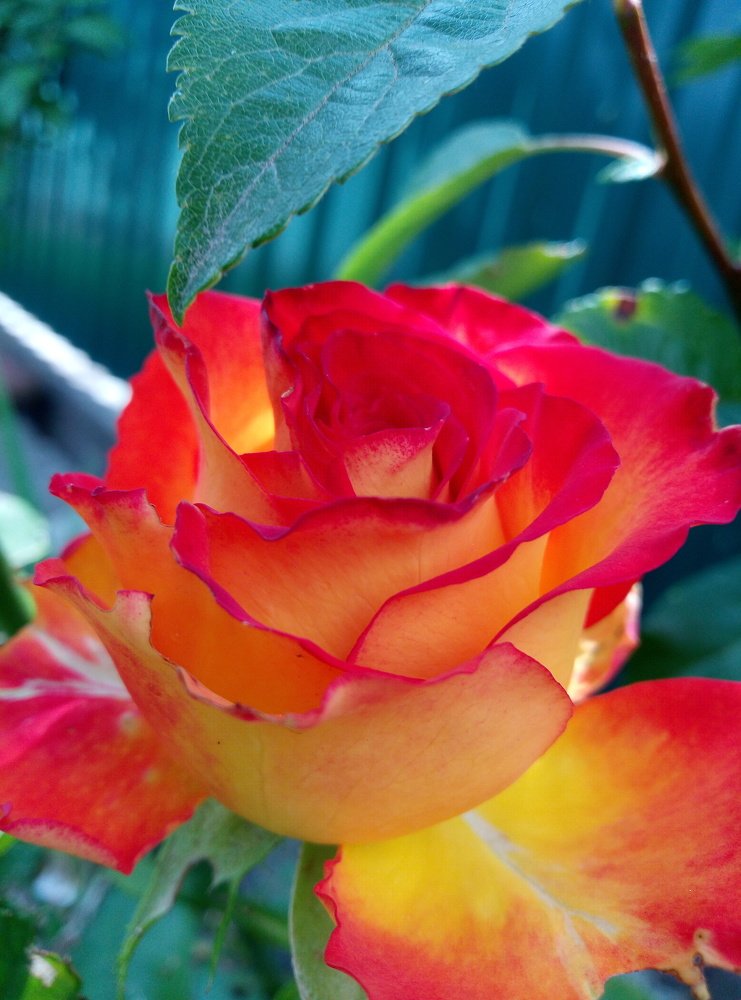 Photograph by Наталія Дронюк