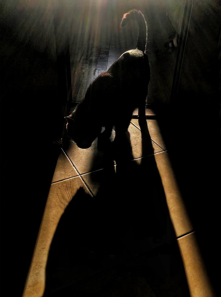 Photograph by Наталия Макарова