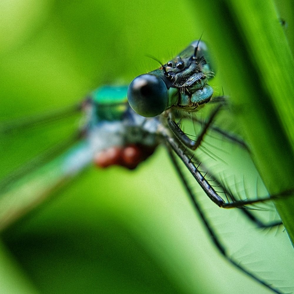 Photograph by Татьяна Мельникова