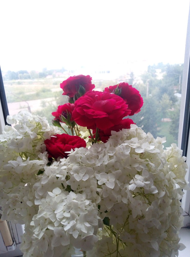 Photograph by Наталія Дронюк