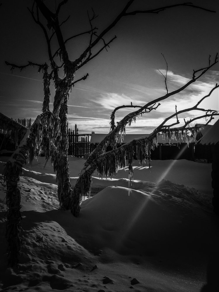 Фотография автора Александр Овчинников
