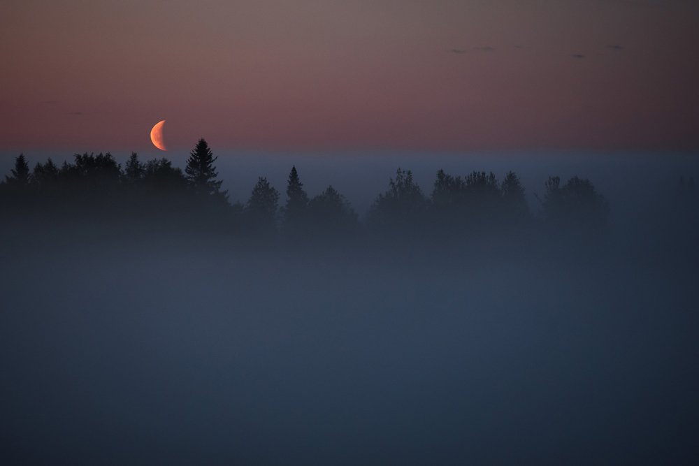 Photograph by Григорий Пиль