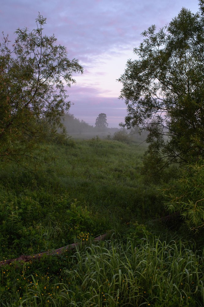 Photograph by Григорий Пиль