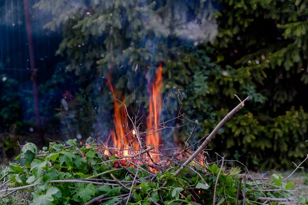 Photograph by Мария Швец