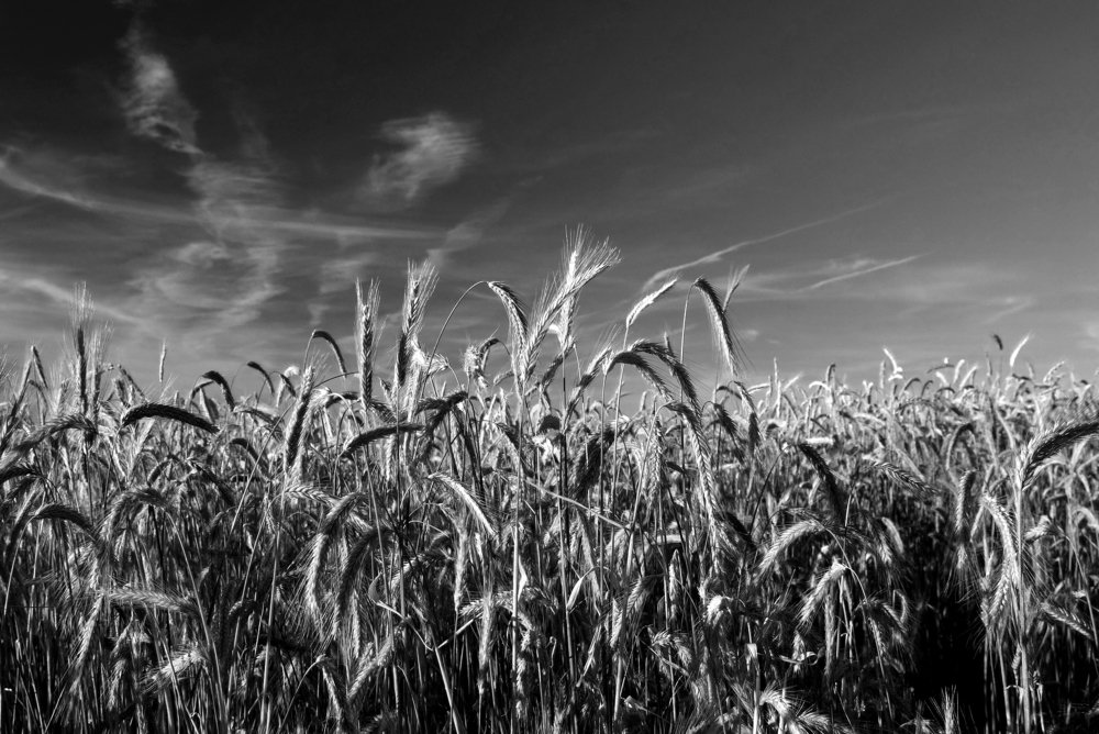 Photograph by Bartosz Modrzejewski