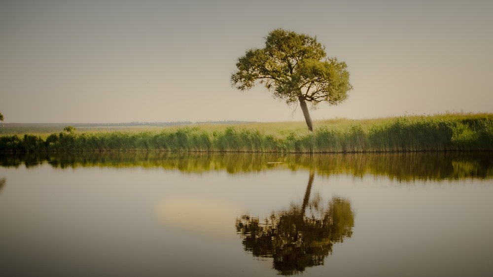 Photograph by Анатолий Коряк