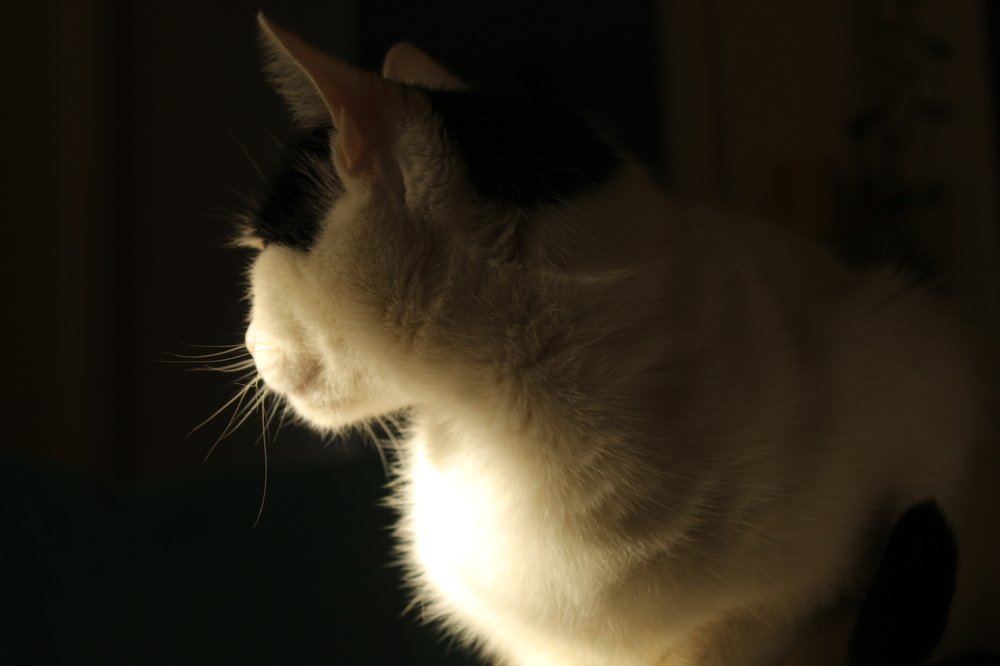 Photograph by Valeria Arcuri