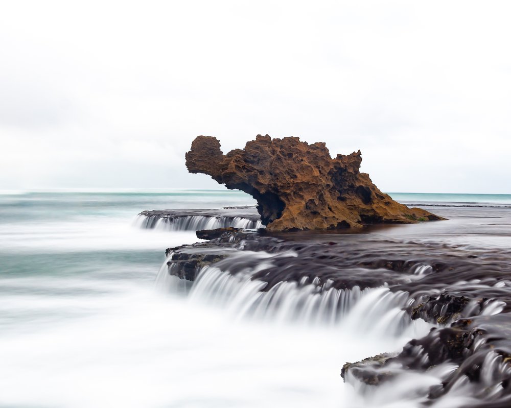 Photograph by Annette Whyte