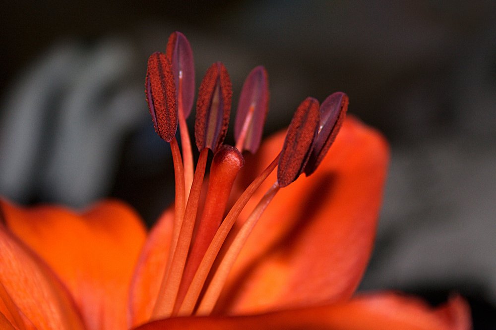 Photograph by Yroslava Veretina