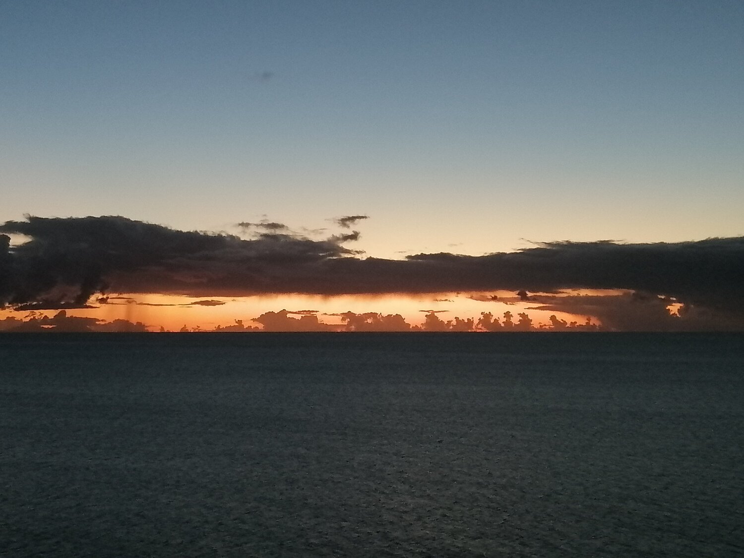 Photo #4783560