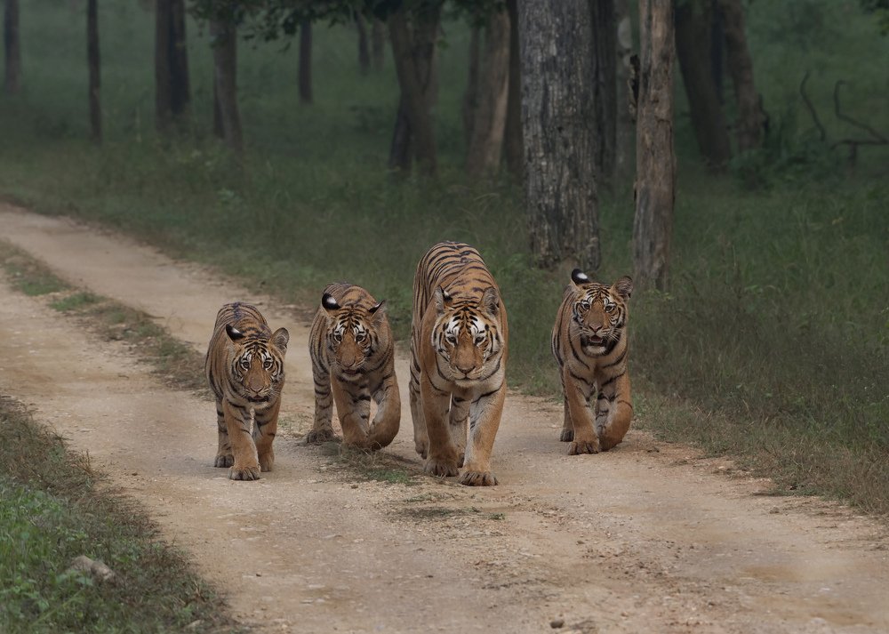 Photograph by Sunil Manikkath
