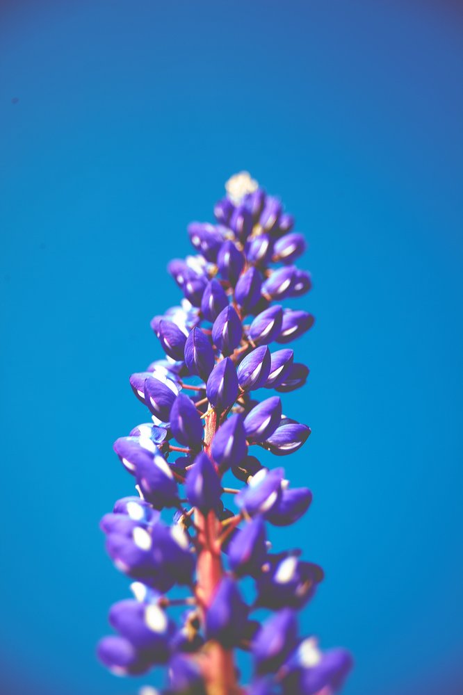 Photograph by Андрей Марченко