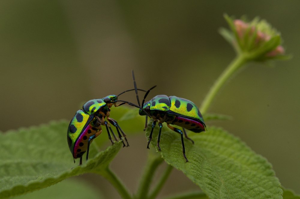 Фотография автора Mukul Mukherjee