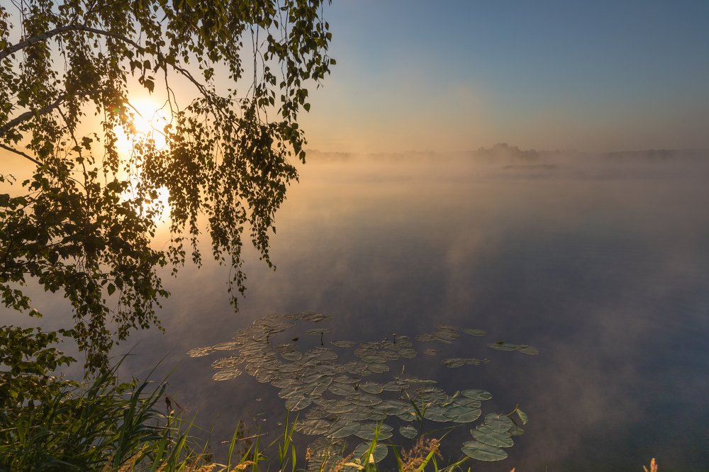 Photograph by Евгений Патрешов