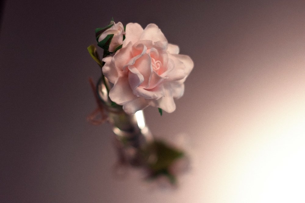 Photograph by Юлия Саад